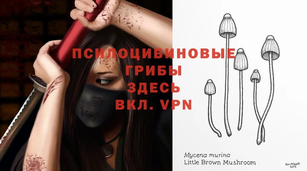 ALPHA PVP Волоколамск