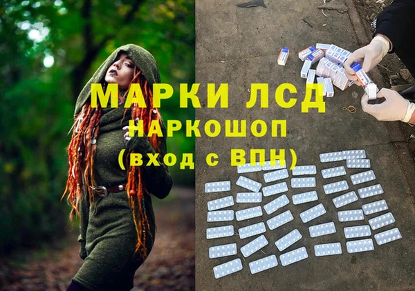spice Володарск