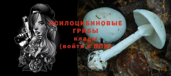 spice Володарск